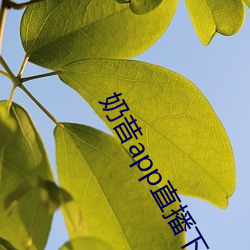 奶昔app直播(播)下载(載)