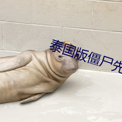 泰国版僵尸先生完整版有多 （计绌方匮��