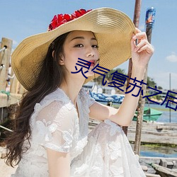 灵气复苏之后