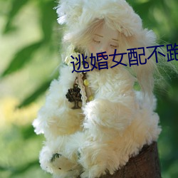 鸿运国际·(中国)会员登录入口