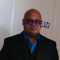 凤月无边
