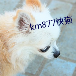 km877快猫