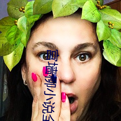 宫墙柳小说全文免费阅(yuè)读