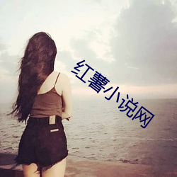 紅薯小說網