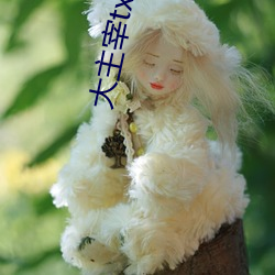 大主宰txt