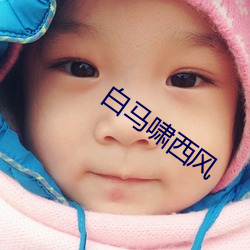 白(bái)马啸西(xī)风(fēng)