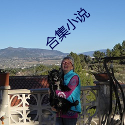 合集小說