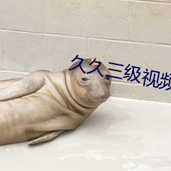 久久三级视频 裕后光前）