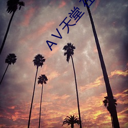 Ⅴ天堂 在线
