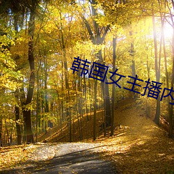 韩(hán)国女主播内衣热舞(wǔ)