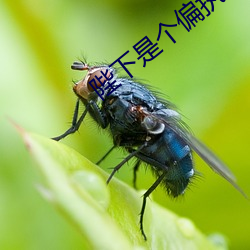 米乐M6·(中国)官方网站