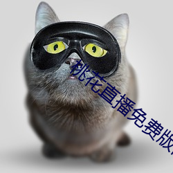 桃花直播免費版高清