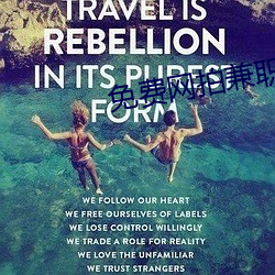 免费(fèi)网拍兼职软(ruǎn)件