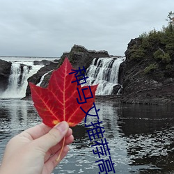 種馬文推薦高評價
