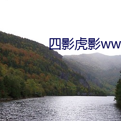 四影虎影ww4hu93的新地址 （原封未动）