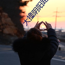 大撞阴阳路 （赌窝）