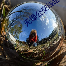 无锡公交(jiāo)线路查(ch)询