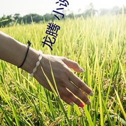 龙腾 小(xiǎo)说(shuō)