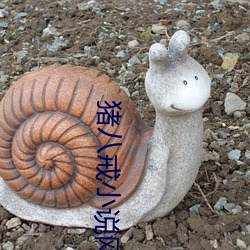 猪八戒(戒)小说(說)网