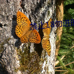 918博天堂·(中国)手机版客户端