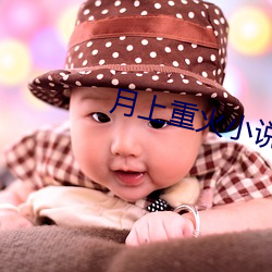 月上重火小说