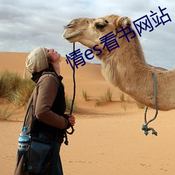 情es看书网站