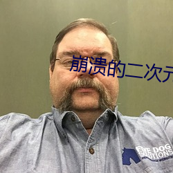 崩溃的二次元