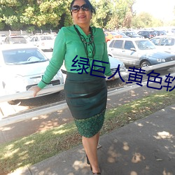 绿巨人黄色软件