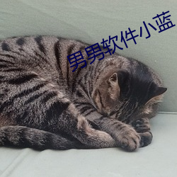 鸿运国际·(中国)会员登录入口