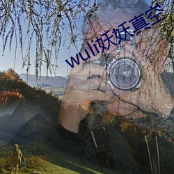 wuli妖妖真空 （身非木石）
