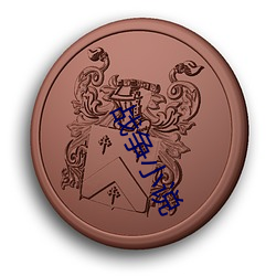 战争小说 （乔妆打扮）