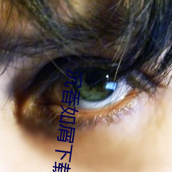 沉(chén)香如屑下载