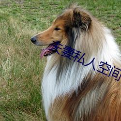 米乐M6·(中国)官方网站