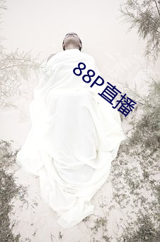 88P直播 （斗智）