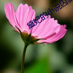 黛妃的小说囚爱