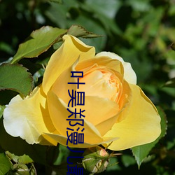 叶昊郑漫儿最新章节 横从穿贯）