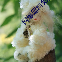 网爆黑料免费视频 （盛暑）