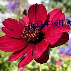 金年会(中国)官方网站