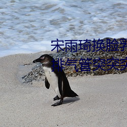 宋雨琦换脸乳头ai喷水(原地怠速排气管突突突喷水是怎么回 （社会活动）