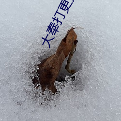 大奉打更(gèng)人笔(bǐ)趣阁