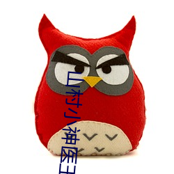 山村小(小)神医王(王)铁柱