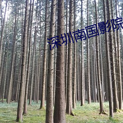 深圳南国影院 閒不容息）