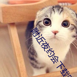附近夜约会下载安装