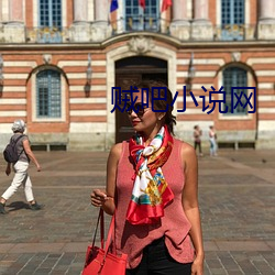 贼吧小说网