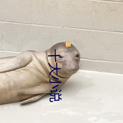 十大小说