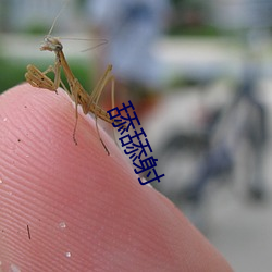 舔舔(tiǎn)射