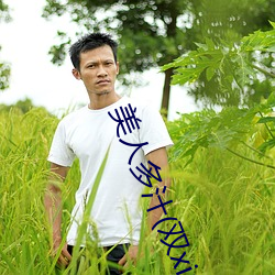 美人多汁(雙xing)