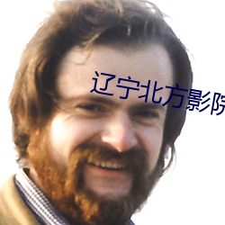 辽(遼)宁北(北)方影(影)院全集