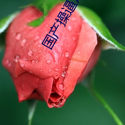 國産操逼聲音軟件