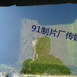 91制片厂传媒app